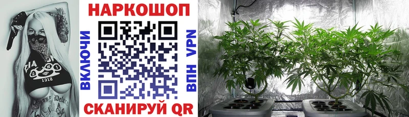Где продают наркотики Кемерово APVP Меф МАРИХУАНА Cocaine