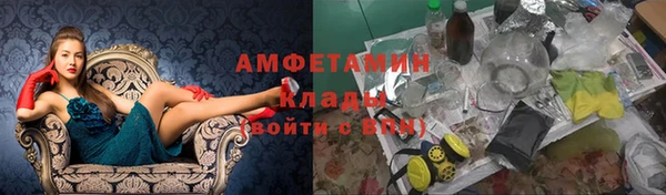 шишки Алексин