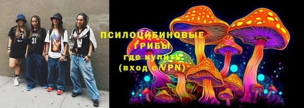 шишки Алексин