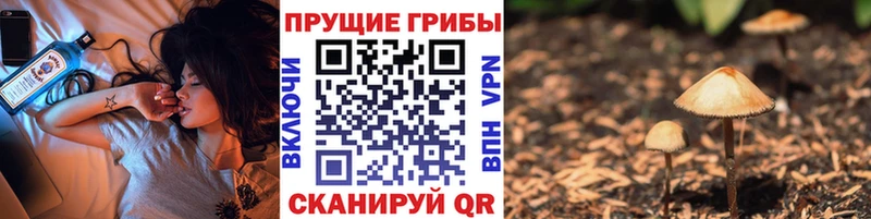 Псилоцибиновые грибы MAGIC MUSHROOMS  kraken маркетплейс  Кемерово 